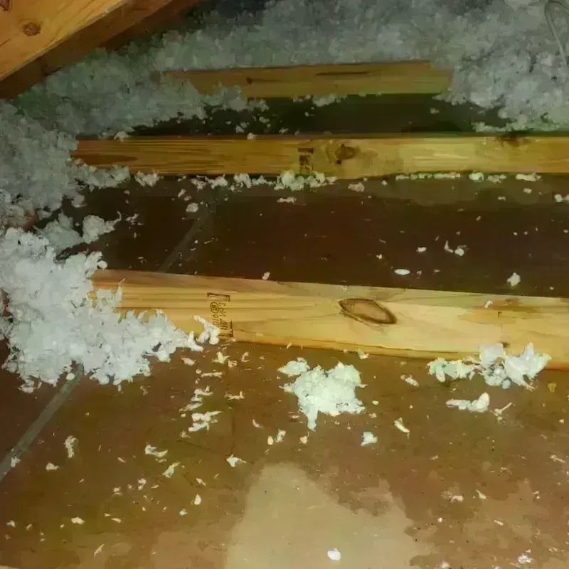 Attic Water Damage in Melville, NY